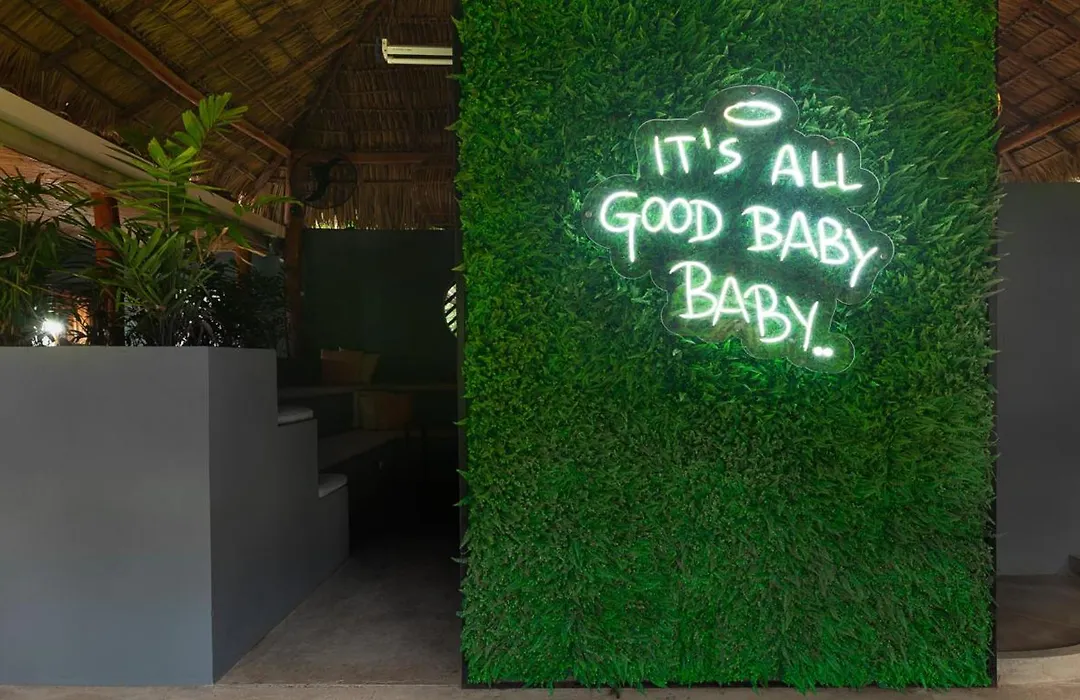 The Space Jungle Oasis-1