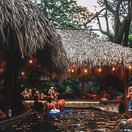 The Space Jungle Oasis-3